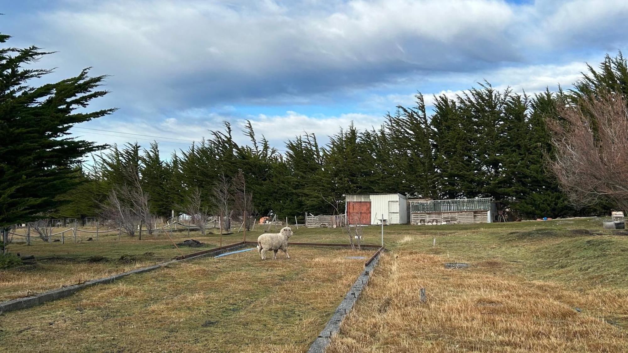 פואנטה ארנס Hospedaje Isla Magdalena מראה חיצוני תמונה